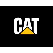 Поршень со стопорными кольцами Caterpillar 290-0017 ; 1W-9372 ; 9Y-4004